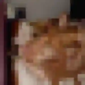 Rencontre Alix, 22 ans à Callas en t'inscrivant