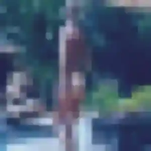 Contacte Charlotte, 28 ans à Camphin-en-Pévèle en t'inscrivant