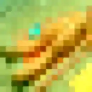 Photo sexy de Clarisse, 30 ans à Camphin-en-Pévèle - rencontre coquine