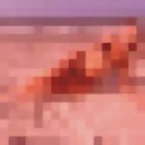 Charlotte, 26 ans, cherche un plan cul à Cancale