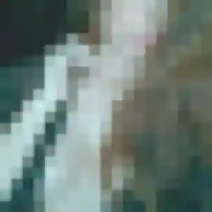 plan cul à Cancale : profil de Lola, 20 ans - accès libre