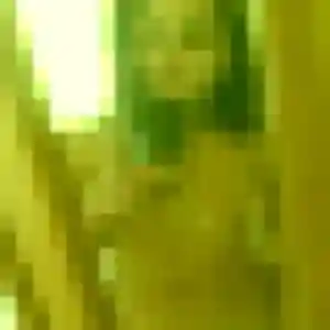 Photo de Louane à Canly (27 ans) - plan cul sans inscription