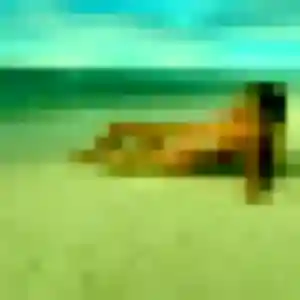 Contacte Eva, 29 ans à Canohès en privé