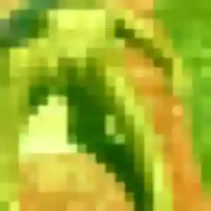 Contacte Louna, 22 ans à Cantenay-Épinard en privé