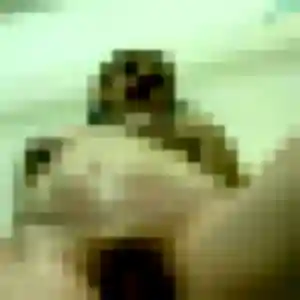 Photo de Constance à Castanet-Tolosan (31 ans) - plan cul anonyme