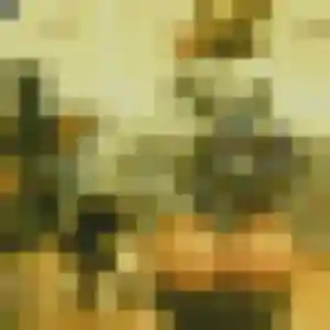 Photo exclusive de Coralie, 34 ans à Castanet-Tolosan - rencontre sans lendemain