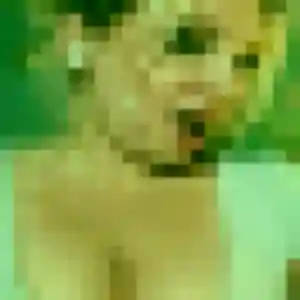 Photo perso de Romy, 33 ans à Castelginest - rencontre sans lendemain