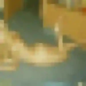 Mila, 28 ans, dispo pour plan cul à Castelnau-de-Médoc