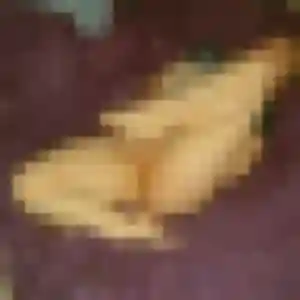 Photo privée de Heloise, 24 ans à Caurel - rencontre sans lendemain