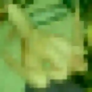 Solene (21 ans) à Cercier cherche une rencontre ce soir