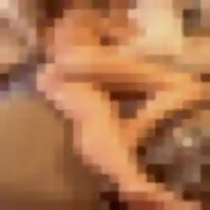 Charmante Ninon, 34 ans à Cestas - voir sa photo