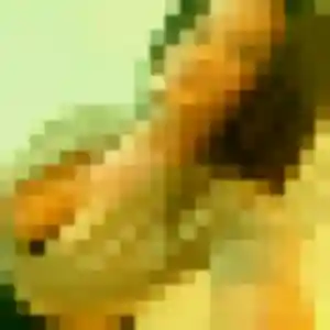 Photo exclusive de Elisa, 21 ans à Challans - rencontre coquine