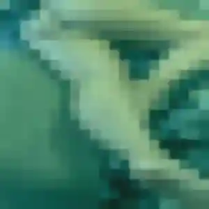 Profil de Sasha à Chambois (27 ans) - plan cul gratuit