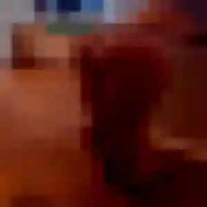 Justine, femme de 31 ans veut plan cul à Champéon