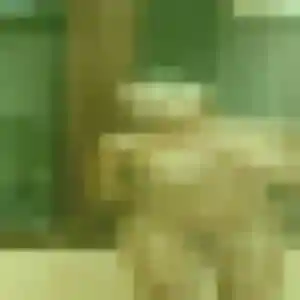 Belle Louna, 26 ans à Chanat-la-Mouteyre - la contacter