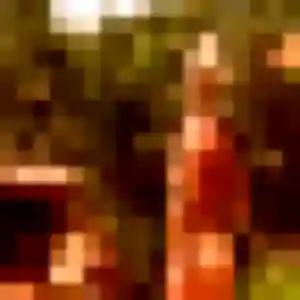 Photo sexy de Roxane, 35 ans à Chappes - rencontre coquine