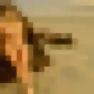 Assia, fille de 34 ans cherche plan cul à Charbonnières-les-Vieilles
