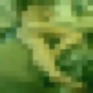 Zoe, 26 ans, connectée à Chasné-sur-Illet pour une rencontre coquine