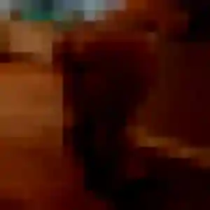 Photo privée de Leila, 20 ans à Châteaubriant - rencontre sans lendemain