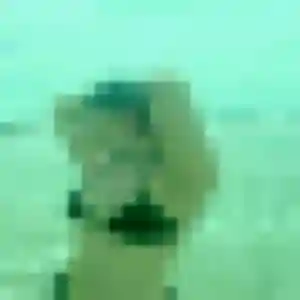 Anissa, 27 ans, veut un plan cul à Châteauneuf-d'Ille-et-Vilaine