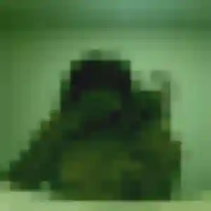 Cassandre, femme de 27 ans cherche plan cul à Châteauneuf-d'Ille-et-Vilaine