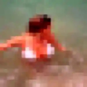 Photo privée de Elia, 32 ans à Chavagnes-en-Paillers - rencontre sans lendemain