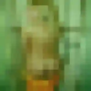 Photo de Feriel à Chevaigné (32 ans) - plan cul anonyme
