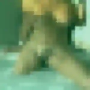 Giulia, 19 ans, dispo pour plan cul à Chindrieux