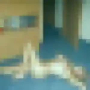 Photo exclusive de Heloise, 20 ans à Civaux - rencontre sans lendemain