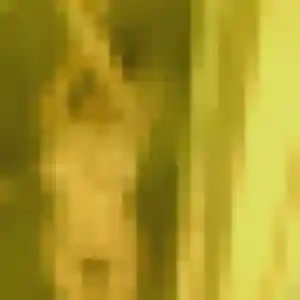 Photo exclusive de Zara, 26 ans à Coat-Méal - rencontre sans lendemain