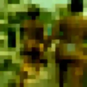 Aurelie, 22 ans, connectée à Coësmes pour une rencontre coquine