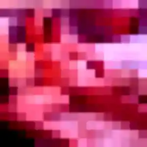 Rencontre Capucine, 21 ans à Coësmes en t'inscrivant