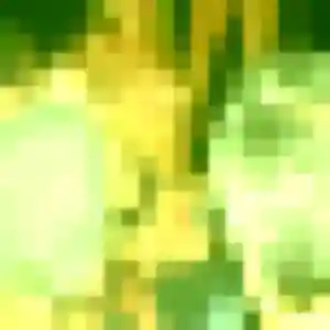 Profil de Marine à Coësmes (21 ans) - plan cul sans inscription