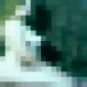 plan cul à Concoret : photo de Zoe, 24 ans - accès libre