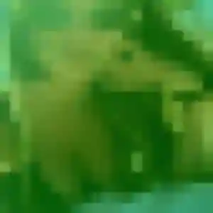 Fanny, 28 ans, cherche un plan cul à Cornillé