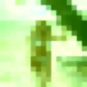 Profil de Melanie à Corzé (22 ans) - plan cul gratuit