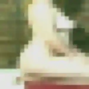 Profil de Ninon à Crach (32 ans) - plan cul discret