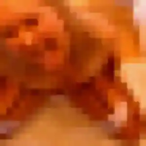 Profil de Elodie à Crémieu (33 ans) - plan cul anonyme