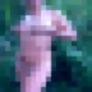 Photo exclusive de Yara, 27 ans à Crèvecœur-sur-l'Escaut - rencontre sans lendemain