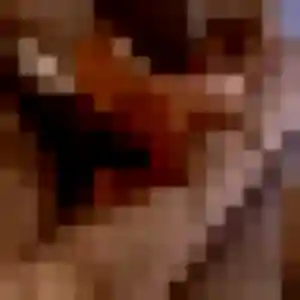 Photo sexy de Elodie, 34 ans à Cruviers-Lascours - plan discret