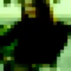 Rencontre Lena, 32 ans à Cuers gratuitement