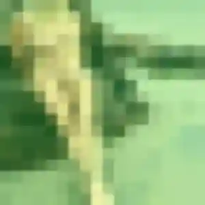 Profil de Pauline à Cuillé (30 ans) - plan cul anonyme