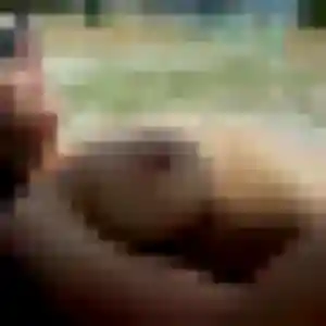 Alice, 29 ans, connectée à Cuy-Saint-Fiacre pour un plan cul