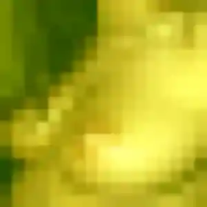 plan cul à Dalhunden : photo de Maelys, 28 ans - accès libre