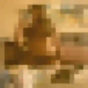 Photo de Coralie à Dampierre-en-Yvelines (33 ans) - plan cul anonyme