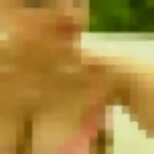 Photo de Romane à Dampniat (19 ans) - plan cul anonyme