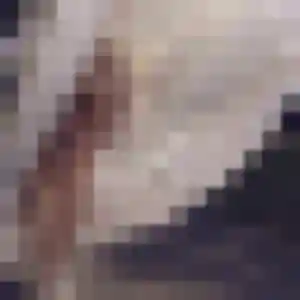 Amandine (19 ans) à Deauville cherche une rencontre maintenant