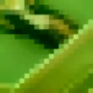 Photo de Manel à Désertines (24 ans) - plan cul sans inscription