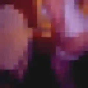 Belle Elisa, 28 ans à Deux-Grosnes - découvrir son profil