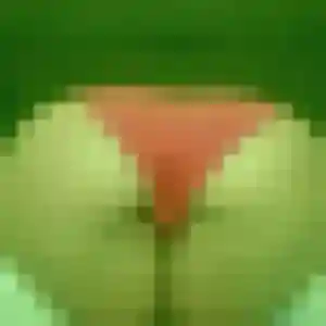 Rejoins Elena, 33 ans à Dinard gratuitement